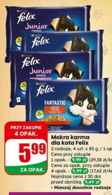 Mokra karma dla kota Junior promocja w Dino
