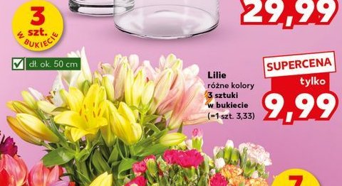 Lilie promocja