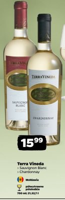 Wino Terra Vineda Sauvignon Blanc promocja w Netto