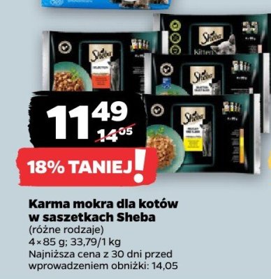 Karma mokra dla kotów w saszetkach, różne rodzaje promocja w Netto