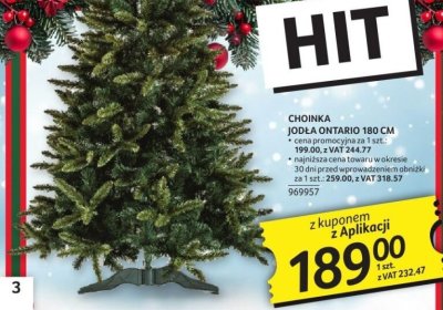 Choinka jodła Ontario 180 cm promocja w Selgros