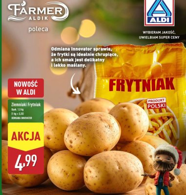 Ziemniaki Frytniak promocja w Aldi