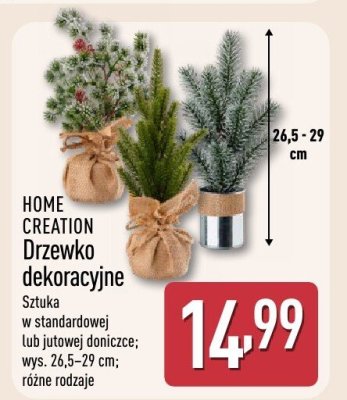 Drzewko dekoracyjne, różne rodzaje promocja w Aldi