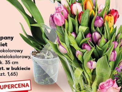 Tulipany bukiet 17 szt. promocja w Kaufland
