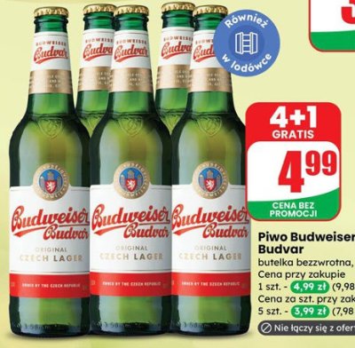 Piwo Budweiser Budvar promocja w Dino