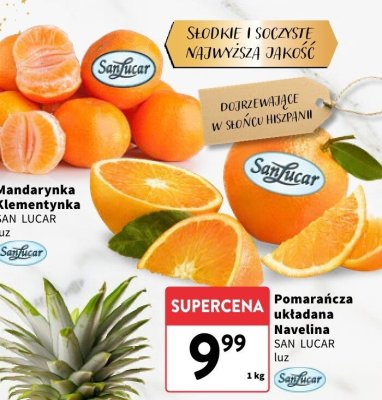 Mandarynka Klementynka SAN LUCAR luz promocja w Intermarche