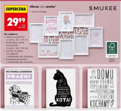 Ramka różne rodzaje promocja w Biedronka