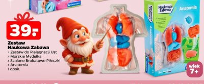 Zestaw Naukowa Zabawa Anatomia 7+ promocja w Netto