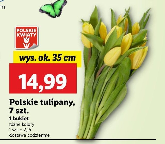 Tulipany bukiet promocja