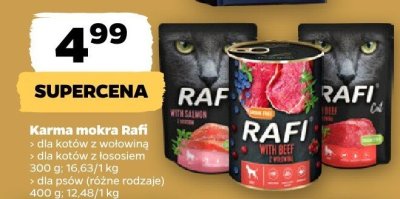 Karma mokra dla kotów z wołowiną promocja w Netto
