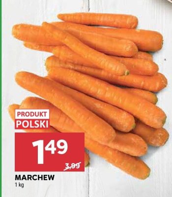 Marchew 1kg promocja w Stokrotka