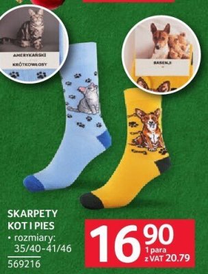 Skarpety kot i pies rozmiary: 35/40-41/46 promocja w Selgros
