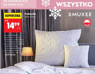 Poduszka Aloe Vera wym. 40 × 40 cm promocja w Biedronka