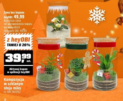 Kompozycja w szklanym słoju miks promocja w OBI