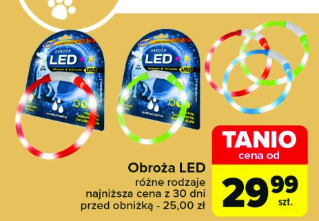 Obroża led Hilton promocja