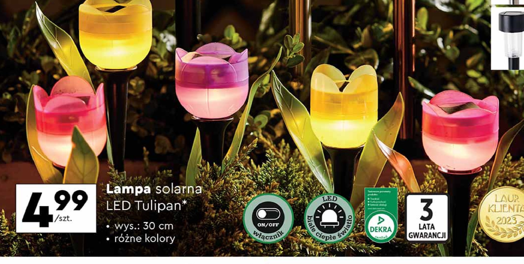 Lampa solarowa tulipan promocja
