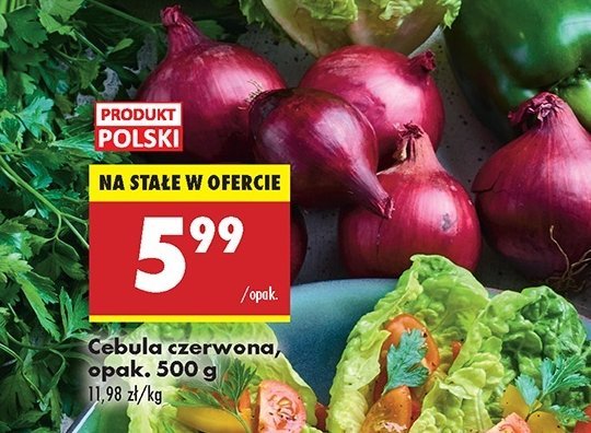 Cebula czerwona promocja w Biedronka