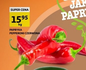 Papryka pepperoni czerwona promocja