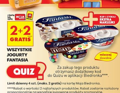 Jogurt Fantasia wszystkie rodzaje promocja w Biedronka