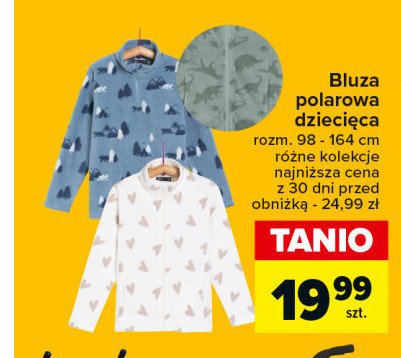 Bluza polarowa dziecięca promocja w Carrefour
