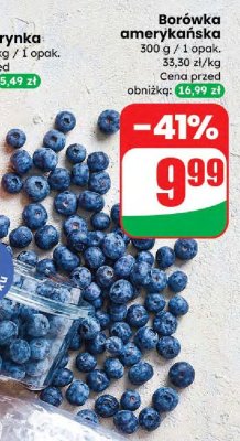 Borówka amerykańska 300 g promocja w Dino