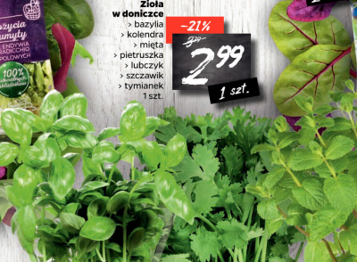 Szczaw promocja