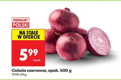 Cebula czerwona promocja w Biedronka