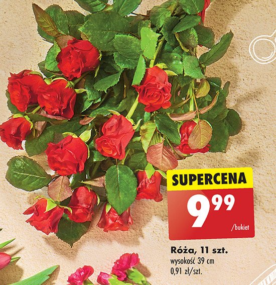 Róża 39 cm promocja