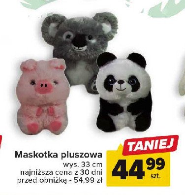 Maskotka panda promocja