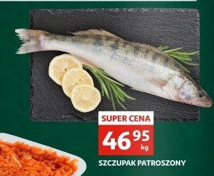Szczupak patroszony promocja