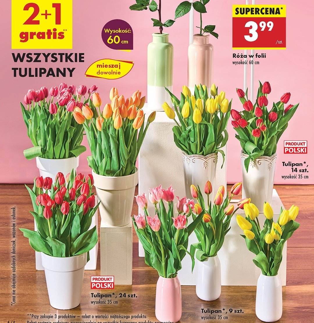 Tulipany 35 cm promocja