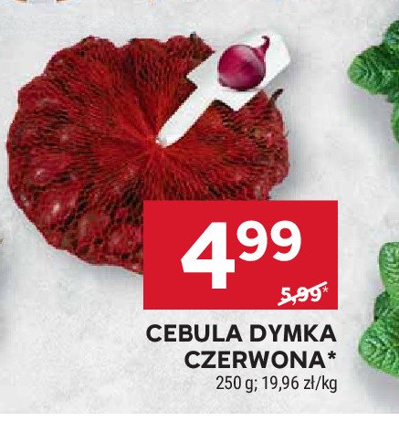 Cebula dymka czerwona promocja