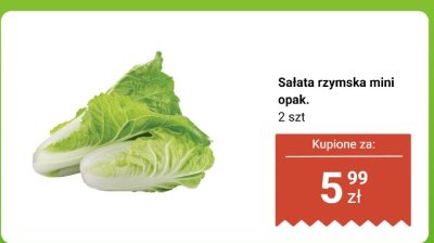 Sałata rzymska mini 2 szt. Biedronka promocja w Biedronka