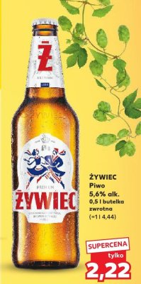 Piwo promocja w Kaufland