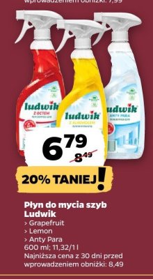 Płyn do mycia szyb Ludwik Lemon promocja w Netto