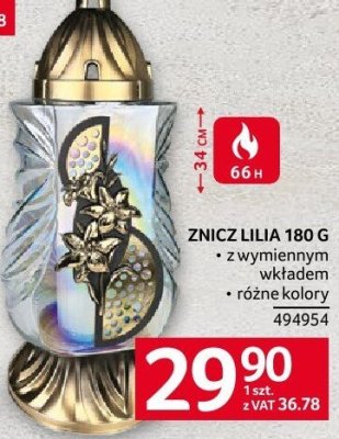 Znicz lilia promocja w Selgros