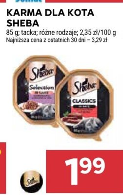 Karma dla kota Sheba promocja w Stokrotka