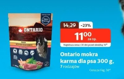 Karma mokra dla psa 300 g promocja w KAKADU