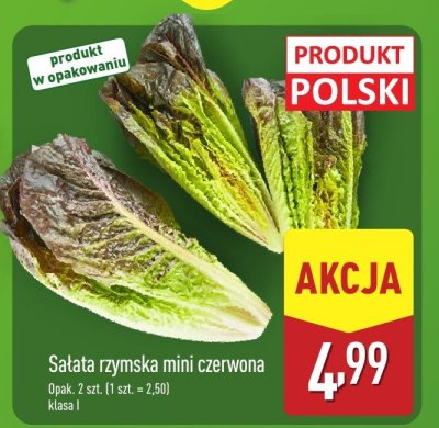 Sałata rzymska mini czerwona promocja w Aldi