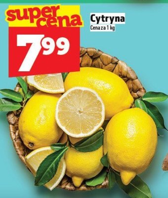 Cytryna Cytryna promocja w TOPAZ