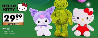 Pluszak, różne rodzaje promocja w Biedronka