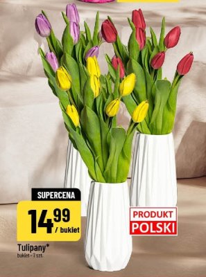 Tulipany promocja w POLOmarket