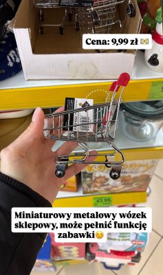 Miniaturowy metalowy wózek sklepowy promocja w Dino