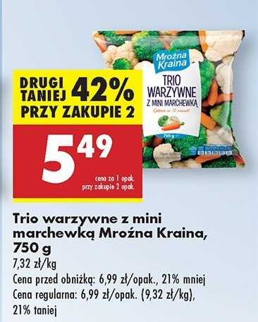 Trio warzywne Mroźna kraina promocja w Biedronka