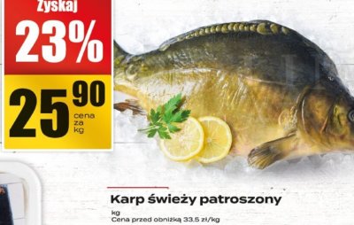 Karp świeży patroszony promocja w Supeco
