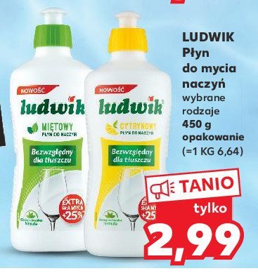 Płyn do mycia naczyń miętowy Ludwik promocja