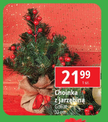 Choinka z jarzębiną 30 cm Goliat promocja w Leclerc