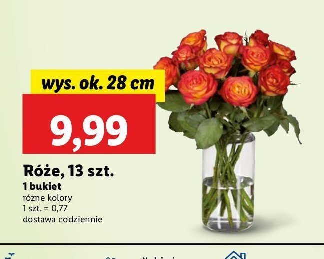 Bukiet róż promocja