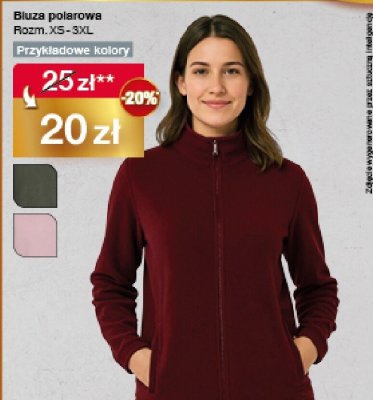 Bluza polarowa damska Rozm. XS - 3XL promocja w Woolworth