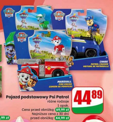 Pojazd podstawowy Psi Patrol różne rodzaje promocja w Dino